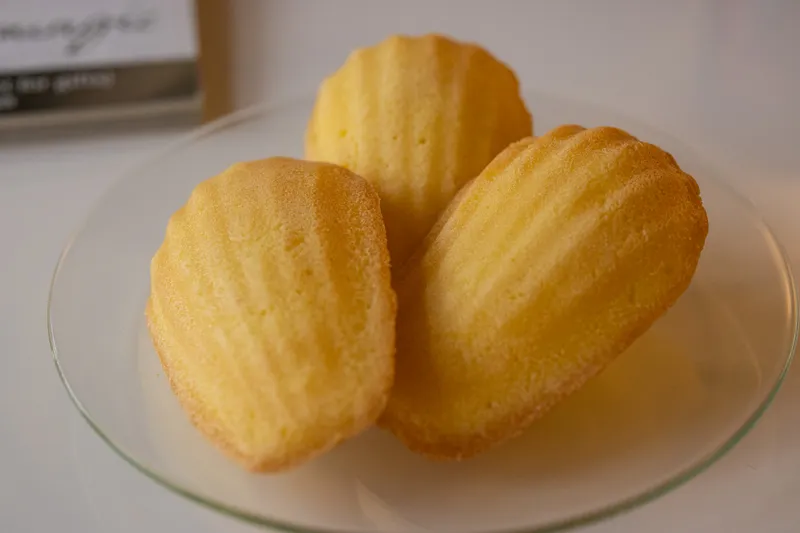 카페,꽃 사진 6