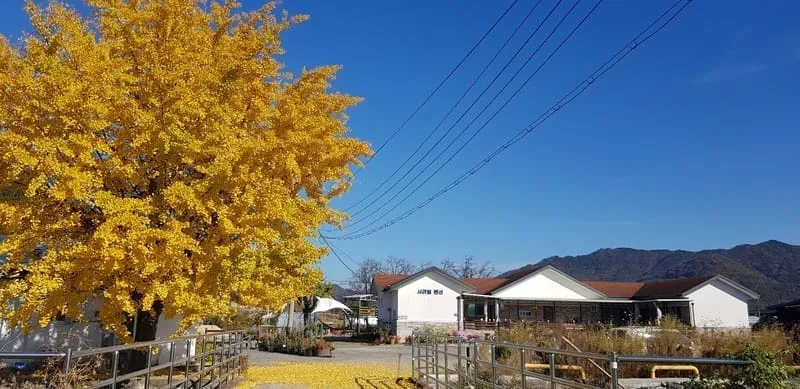 논산서라벌펜션 사진 1