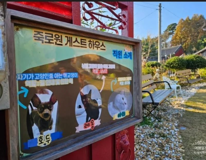 죽로원 게스트하우스 사진 3