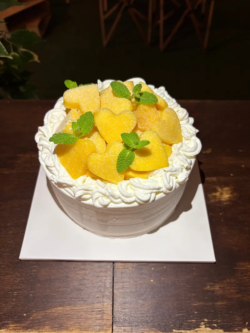 캠피 사진 4