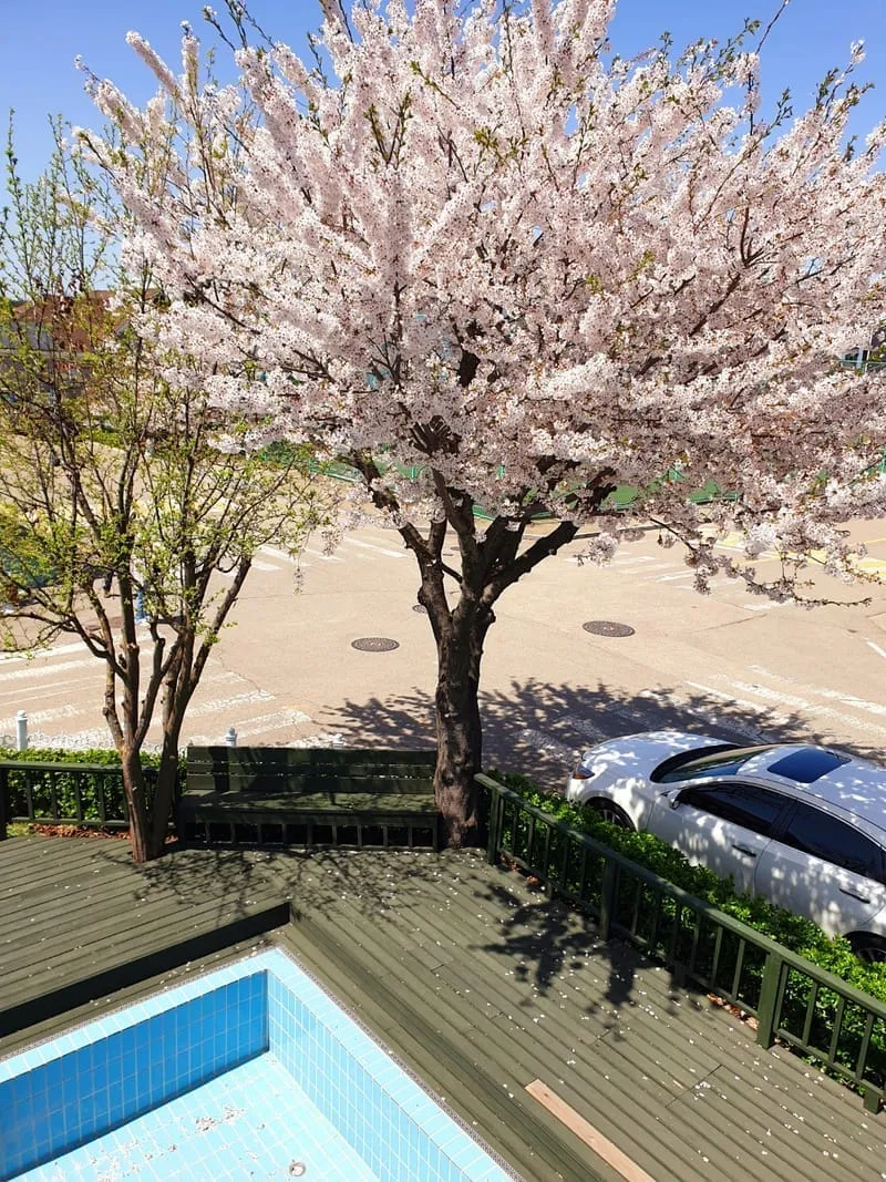 피렌체펜션 사진 6