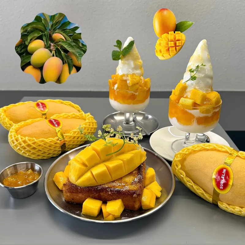 의정서 사진 2