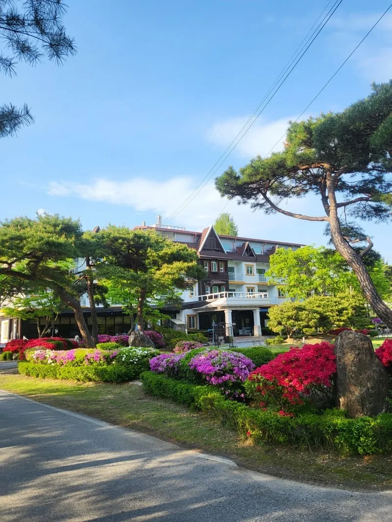 가평 오페라하우스 펜션 사진 2
