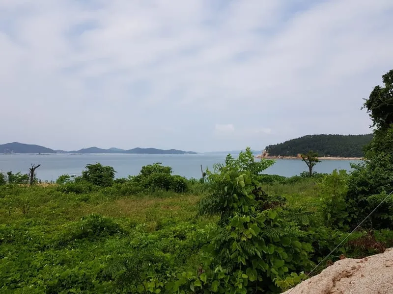 금빛솔여울에든가오름 사진 6