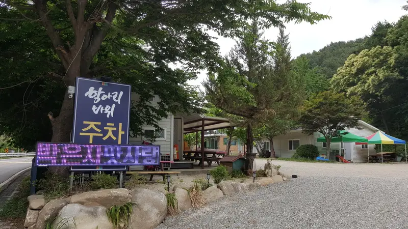 박은자맛사랑 가평점 사진 6