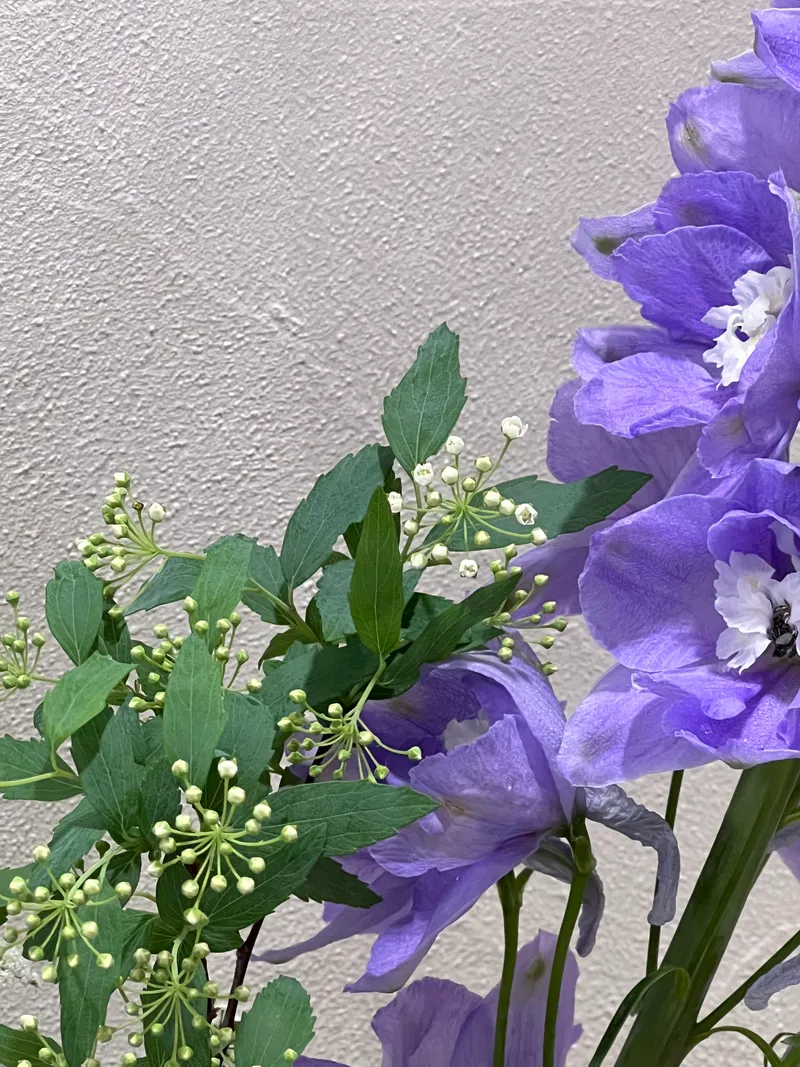 요거영 사진 1