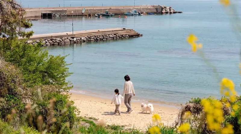 이리온애견펜션 사진 5