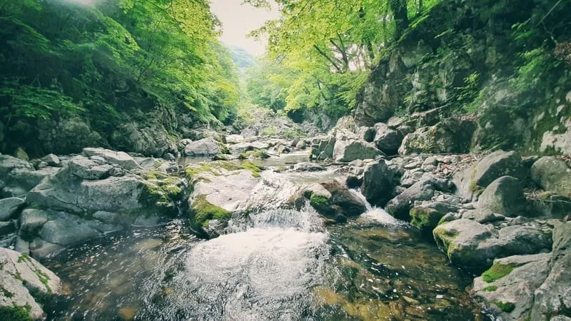 바다내음펜션 사진 3