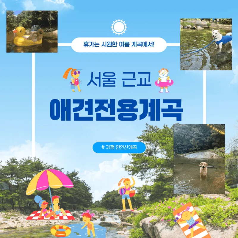 가평 노팅힐 계곡애견펜션 사진 4