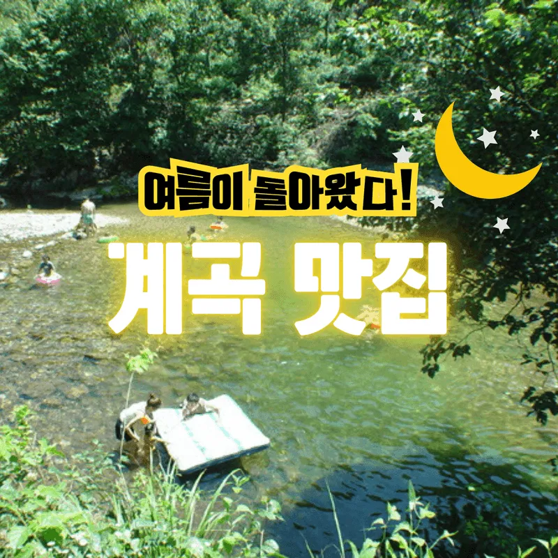 가평 노팅힐 계곡애견펜션 사진 5