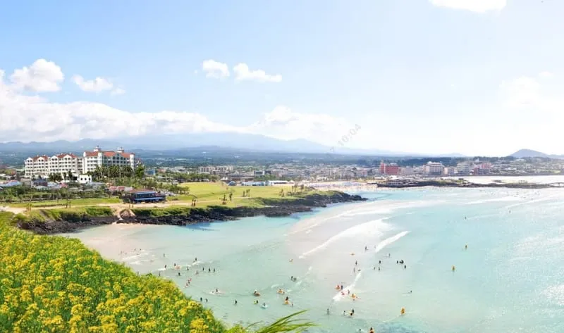 소노벨 제주 사진 3