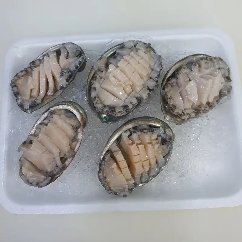 바다정원 사진 5