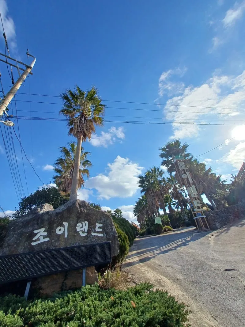 제주조이랜드 사진 5
