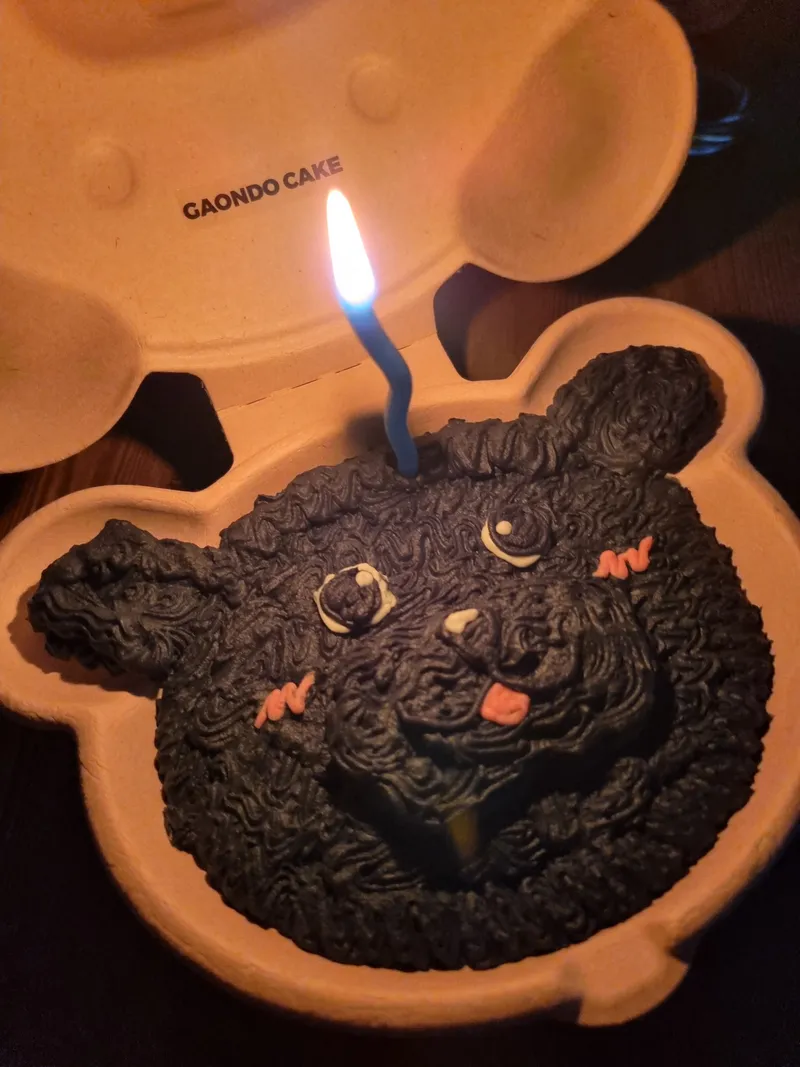 가온도 사진 3