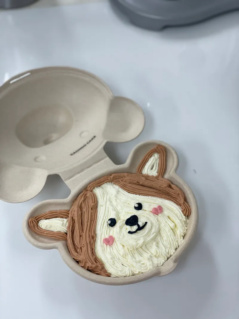 가온도 사진 5