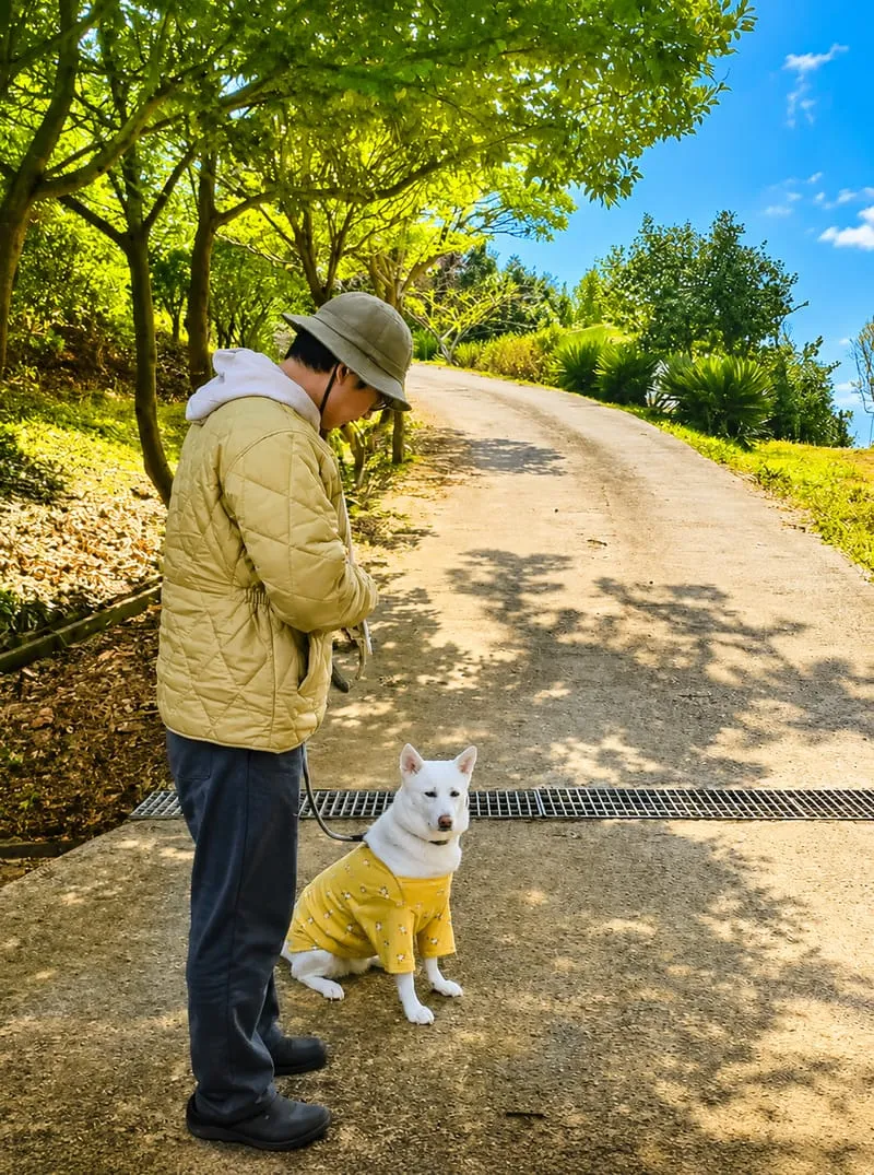 골드마운틴하우스 사진 1