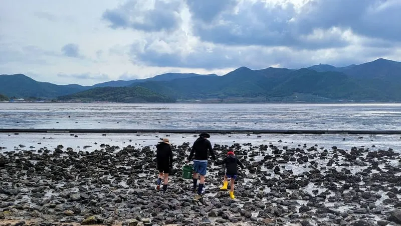 골드마운틴하우스 사진 3