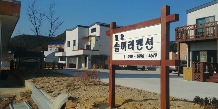 월송솔머리펜션 사진 5