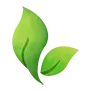 더피자필 사진 4