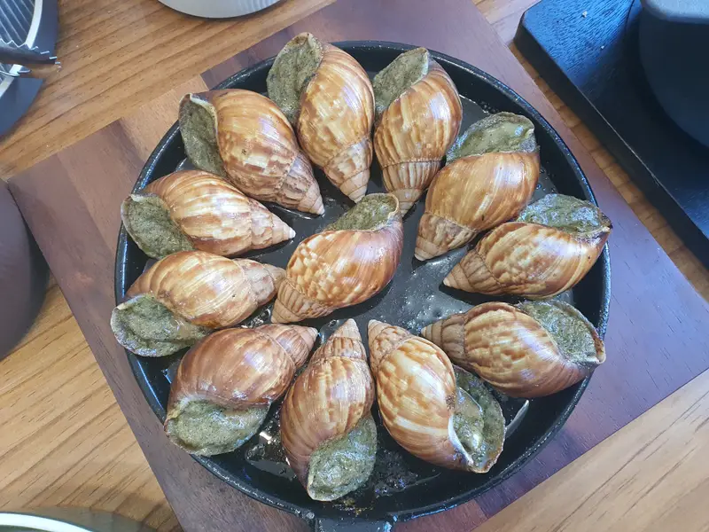 달팽이하우스 사진 1