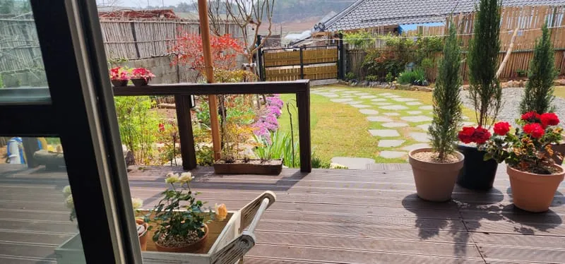 고운정 사진 1