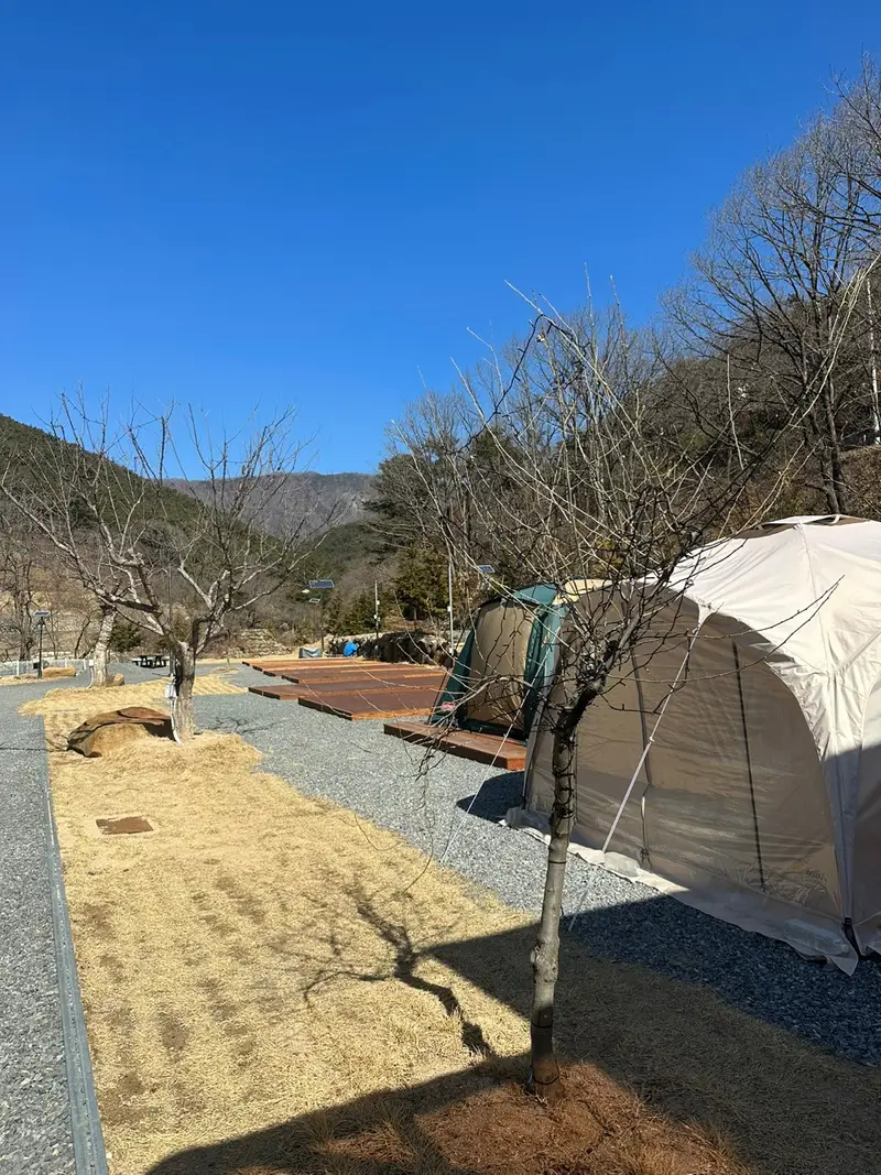 별 품은 숲속 캠핑장 사진 1