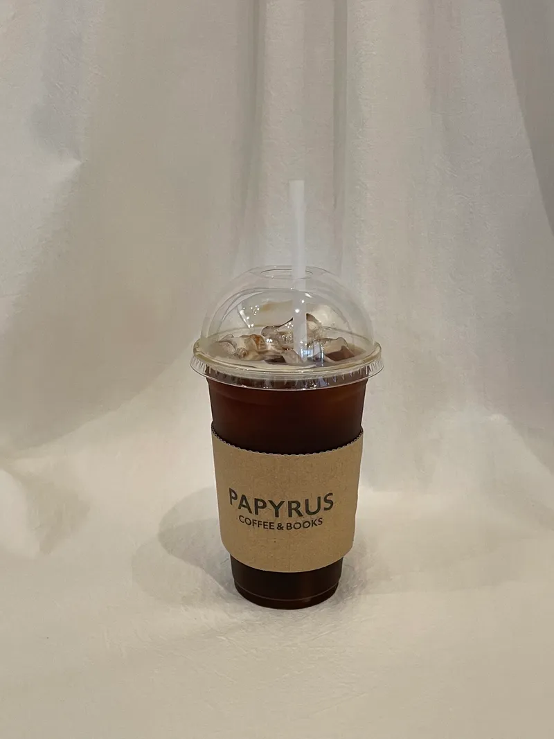 파피루스 사진 1