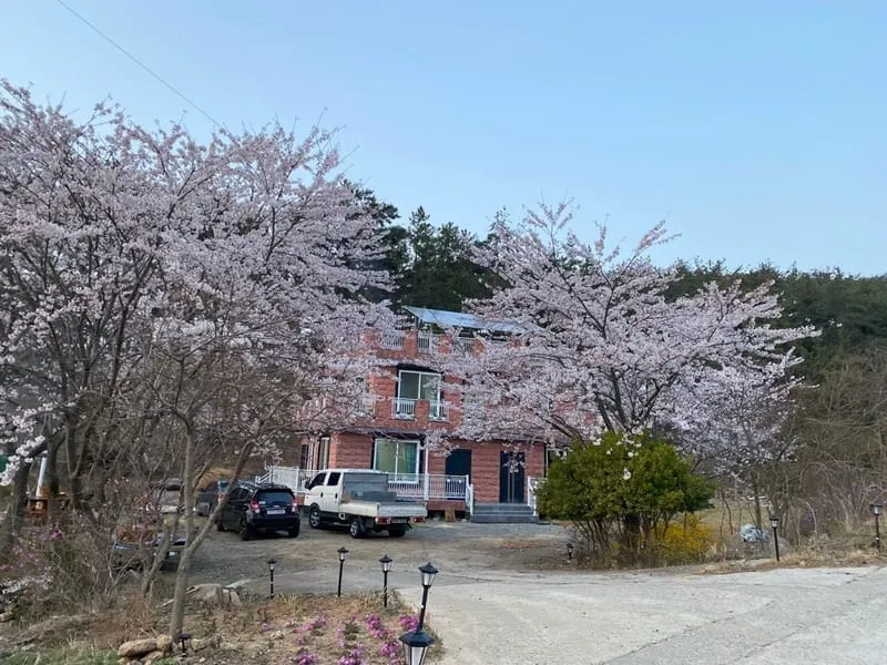 해송펜션 사진 1