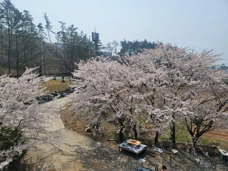 해송펜션 사진 2