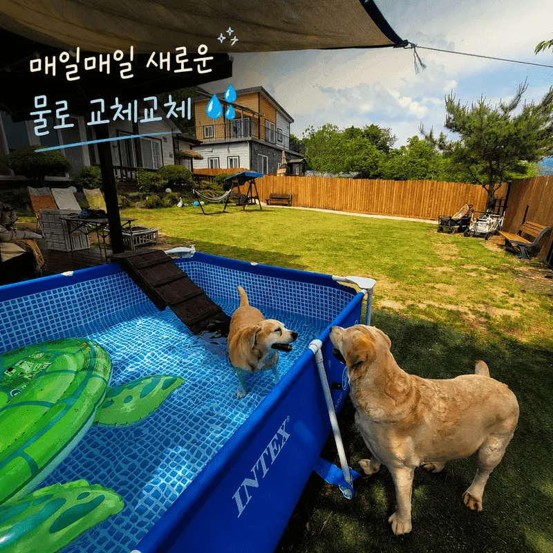 행복한그림이 사진 2