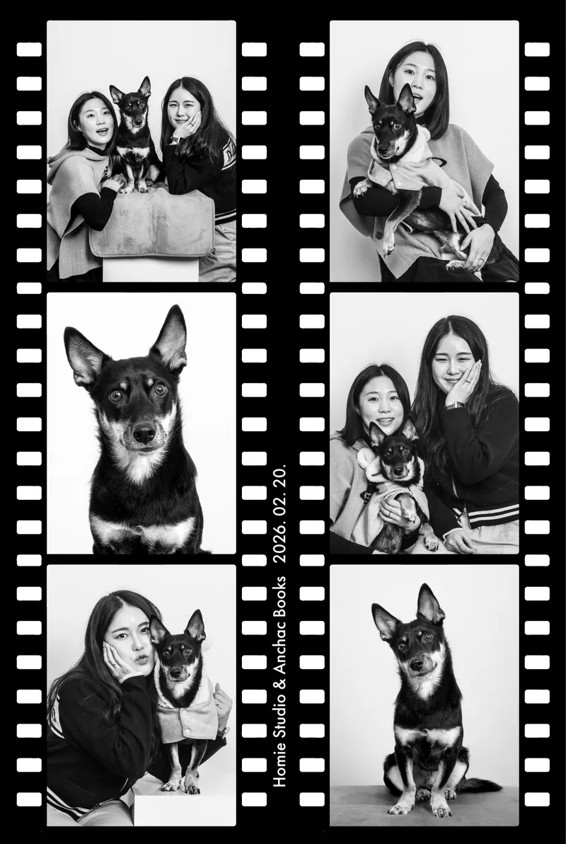 서점안착 사진 4