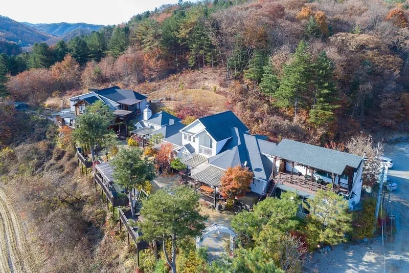 마이웨이 애견펜션 사진 1