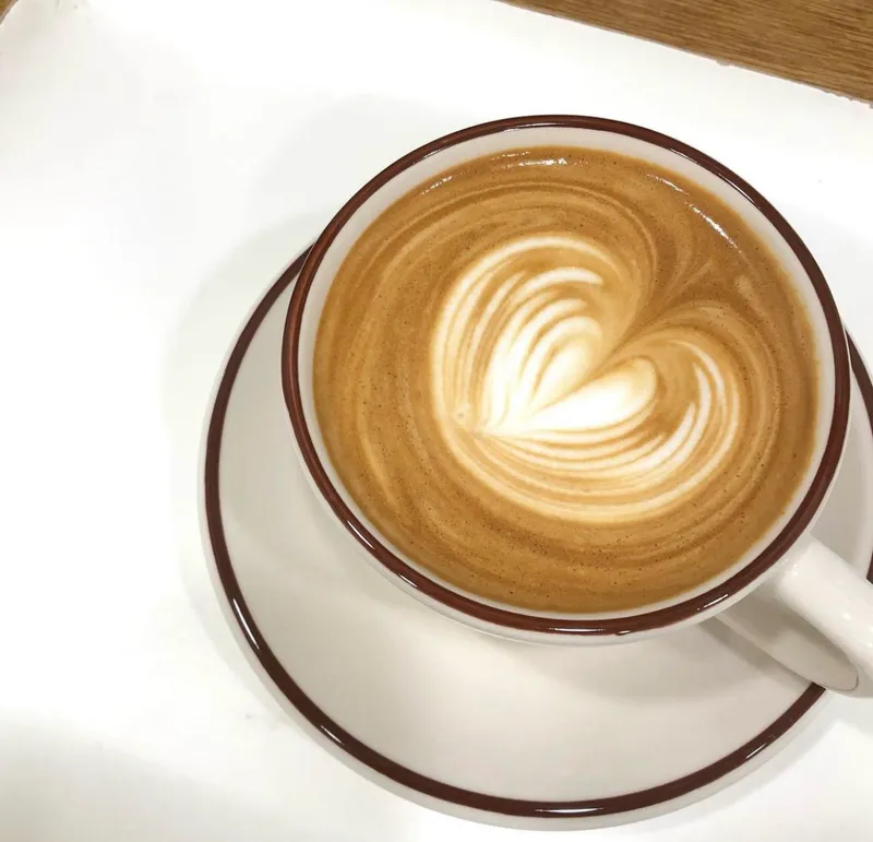 시트러스페이퍼 사진 1