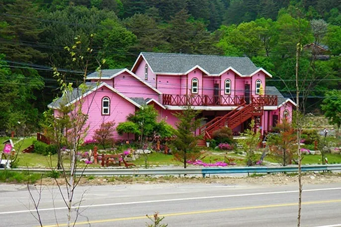 들꽃가람 사진 4