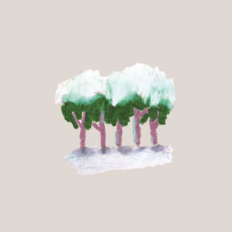 손탁커피 홍천 사진 6