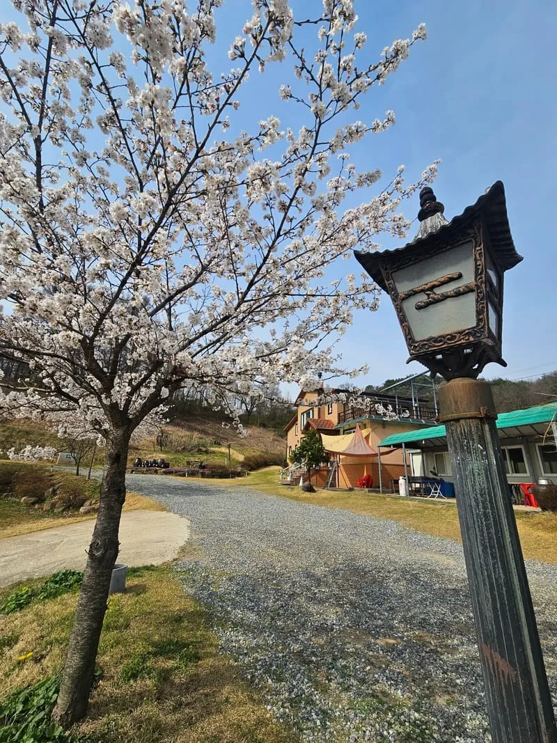 농선재 사진 1