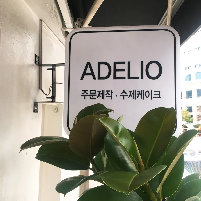 아델리오 사진 1