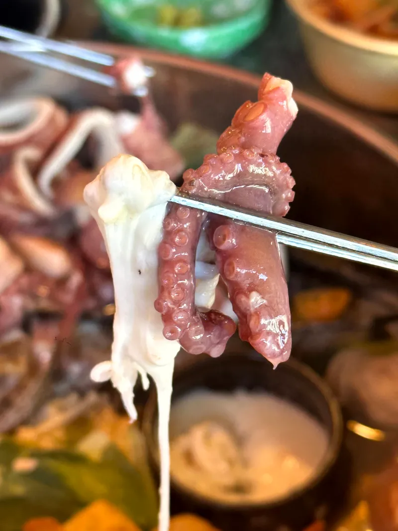 언더더씨 원평점 사진 4