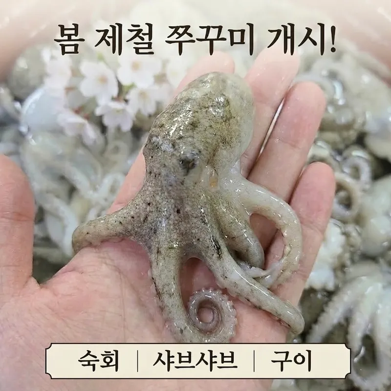 언더더씨 원평점 사진 6
