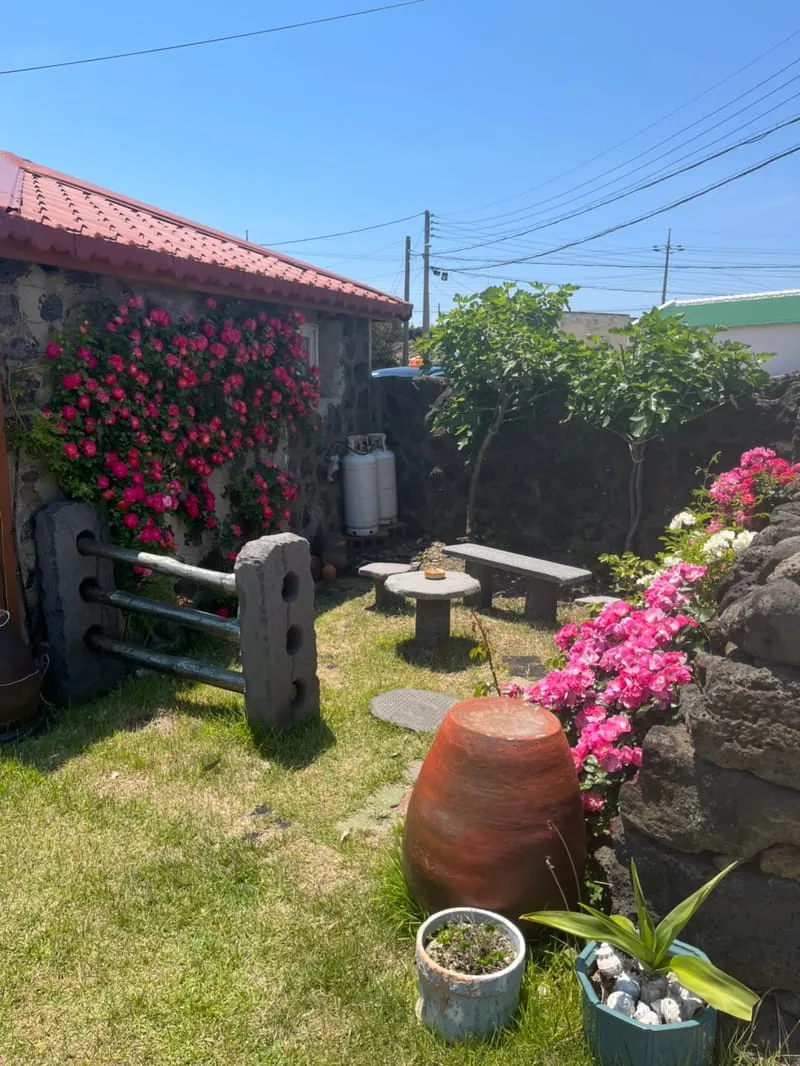 귀덕채 사진 5