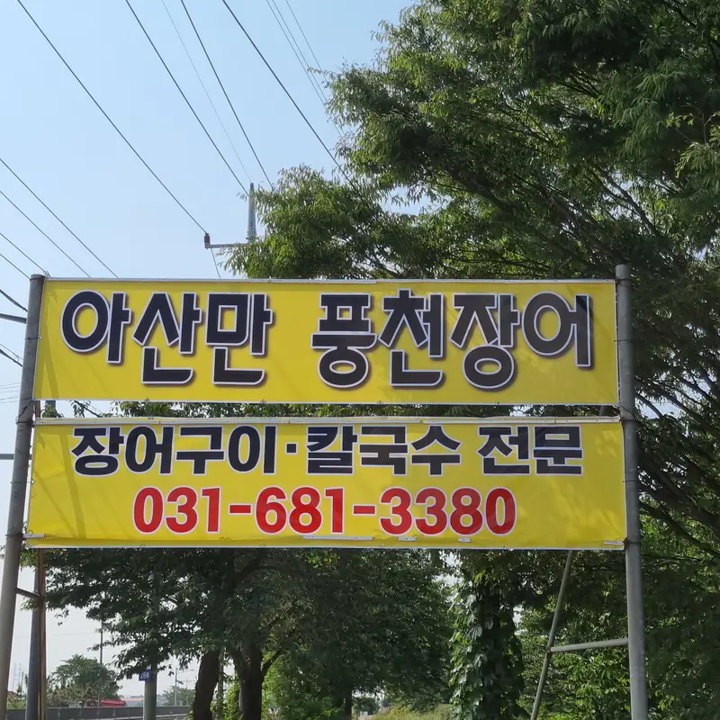 풍천장어 사진 3
