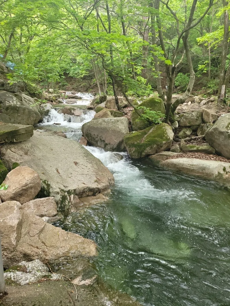 일조가든펜션 사진 2