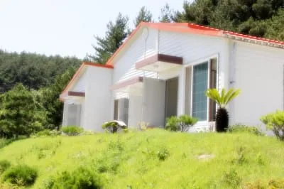 추자 아이콘펜션 사진 3