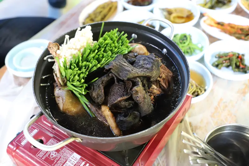 솔내음 사진 2