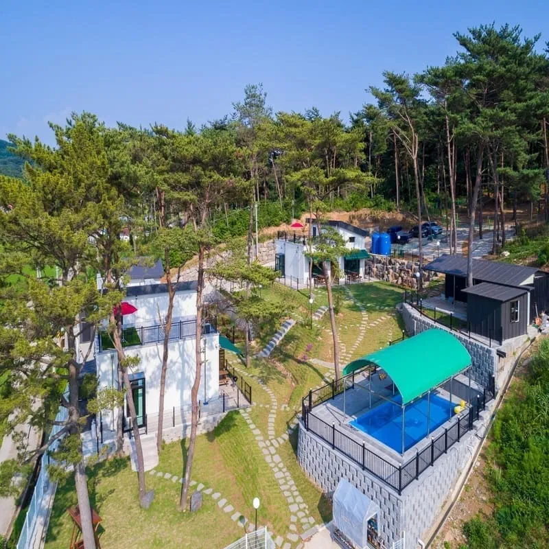 더놀자 애견펜션 사진 1