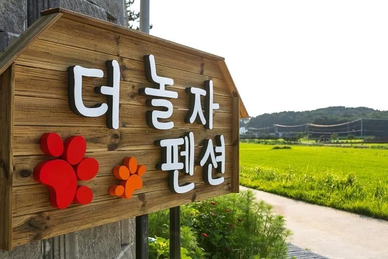 더놀자 애견펜션 사진 2