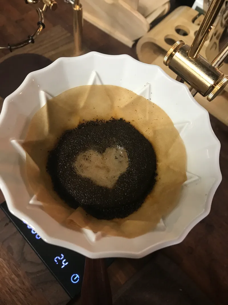 빈센트 사진 6