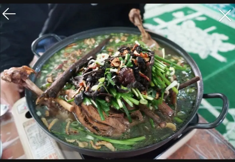 초원 사진 1