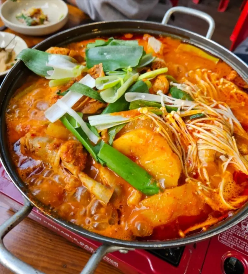 초원 사진 3