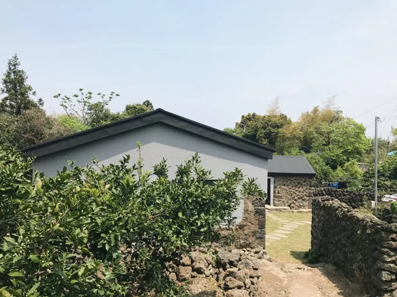 호나 사진 1